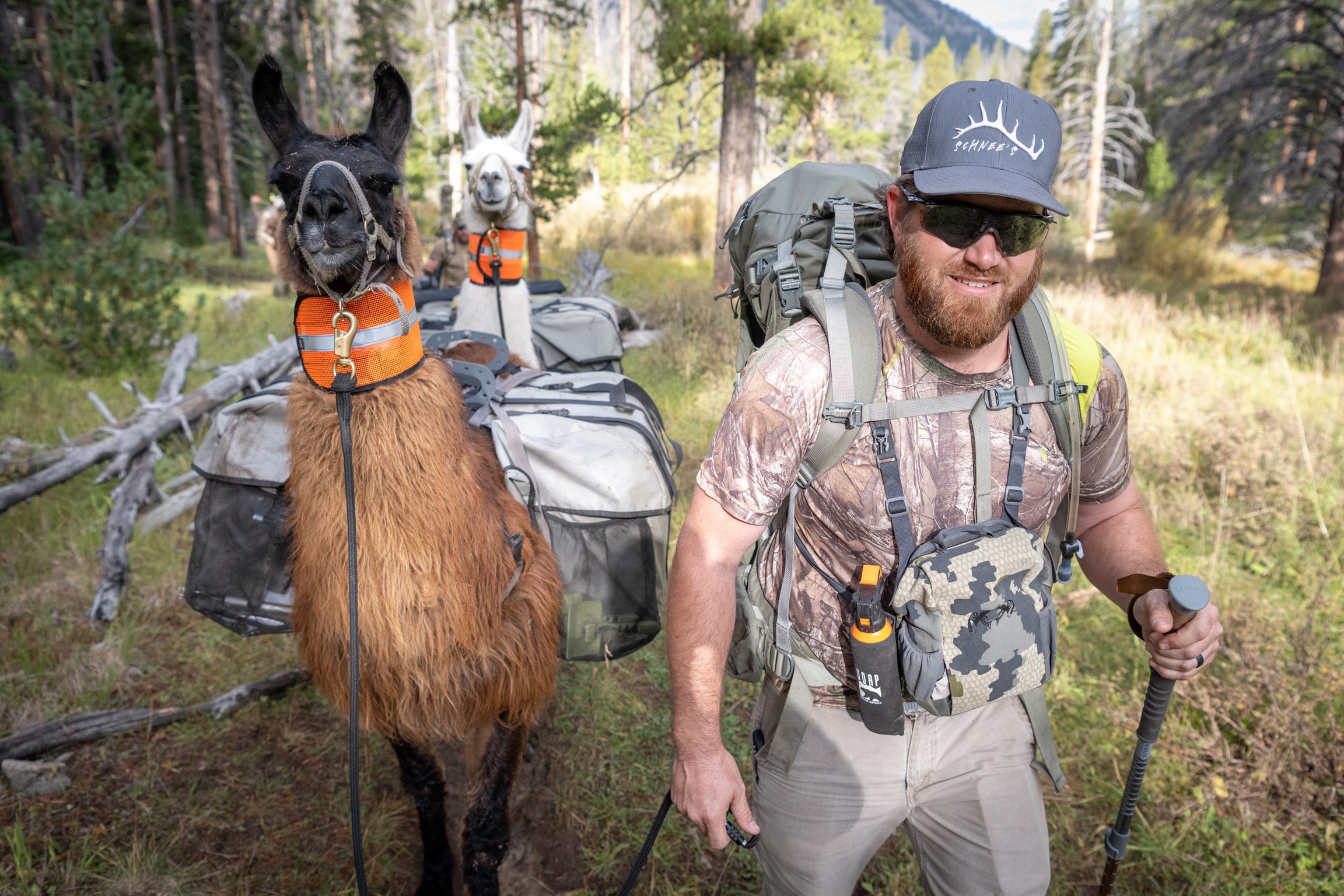 How-To Llama Seminars | Montana Llama Guides | Hiking & Camping
