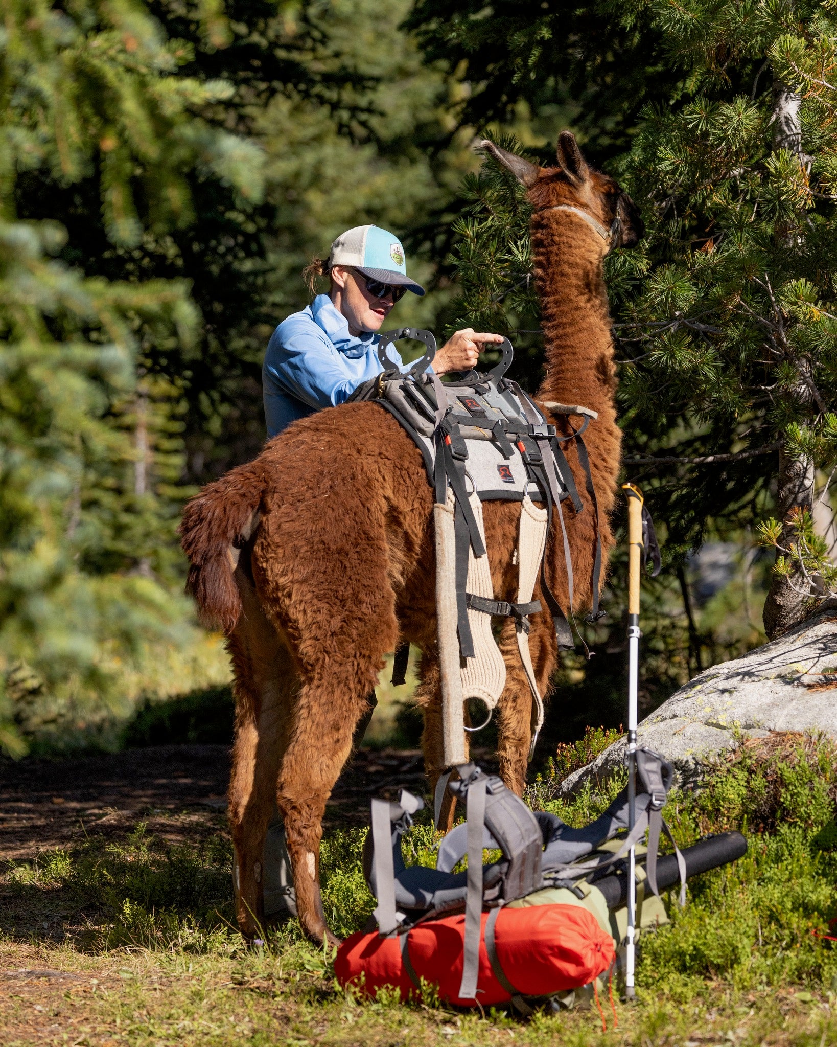 June 6, 2026 | How-To Llama Seminar | Montana Llama Guides